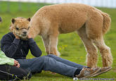 PERFECTLY TIMED PHOTOS.COM