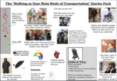 The "Walking as Your Main Mode of Transportation” Starter Pack Path of idiot walking at "Just say excuse me!" Their face when you say "excuse me" and pass them: .000001kph you're trying to pass "Ok ladies, deploy wall formation and reduce speed by 100%!" Your path "Alright lads, let's circle up and have this conversation right here in the middle of the sidewalk." Not having to give a about “muh gas prices!" discourse CORTISOL LEVEL A park? A track? A trail? What are those? I'm going to run on the city sidewalk and glare at you for having the audacity to get in the way of my marathon. Elderly and disabled people exempt from any frustration, take your time and let me know if you need help Real walkers know the raincoat is far superior to the umbrella Enjoying the beauty of your city and nature, people watching Expenses: Purchase of Vehicle: Gasoline: $0 Auto Insurance: $0 Maintenance: $0 "Hey there, want a face full of blue raspberry?" Stroller or "Pram" Feeling healthy and in-shape all the time When equipped: -100% Speed -100% Awareness of Surroundings +100% Entitlement WILL be abruptly stopped in walkway or parked in middle of sidewalk "Hey there, want a face full of carcinogenic smoke?