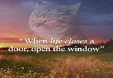 "When life closes a door, open the window"