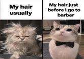 My hair usually My hair just before i go to barber