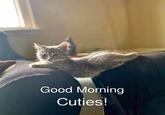 Good Morning Cuties!