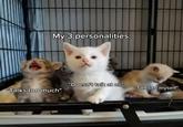 My 3 personalities: "Doesn't talk at all" "Talks to myself" "Talks too much"