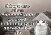 things are often chopped and cooked before they're served and ate