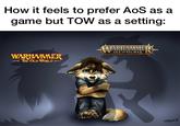 How it feels to prefer AoS as a game but TOW as a setting: WARHAMMER THE OLD WORLD WARHAMMER AGE OF SIGMAR Taluppe
