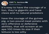 Cliff Jerrison @pervocracy it's easy to have the courage of a lion, they're gigantic and have claws and no natural predators have the courage of the guinea pig, a two pound meat potato with zero offensive or defensive abilities, that will scream at an ape 100 times its size if their lettuce is too wilty 0