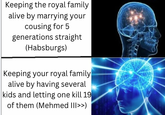 Keeping the royal family alive by marrying your cousing for 5 generations straight (Habsburgs) Keeping your royal family alive by having several kids and letting one kill 19 of them (Mehmed III>>)