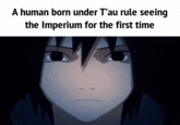 A human born under T'au rule seeing the Imperium for the first time