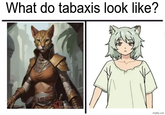 What do tabaxis look like? imgflip.com