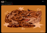 @SWAGVO1D new cat dropped !! 0 SV