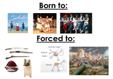 Sirtaki Born to: Forced to: Dorsal slit Foreskin Circumcision surgery Frenulum