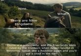 Nine. There are Nine Kingdoms What? Dorne is a principality, and the Riverlands were ruled by the Ironborn when Aegon landed in Westeros. Speak like a Redditor again and you'll get a clout in the ear!