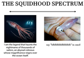 THE SQUIDHOOD SPECTRUM I am the legend that haunts the nightmares of thousands of sailors, an abyssal colossus whose magnificence reigns over the ocean itself. say · "blblblblbllblblblb" in smol