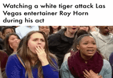 Watching a white tiger attack Las Vegas entertainer Roy Horn during his act