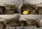 hehehehe u jus gut moged imgflip.com