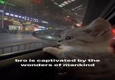 vivc bro is captivated by the wonders of mankind