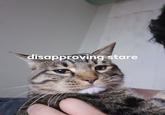 disapproving stare