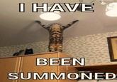 I HAVE BEEN SUMMONED