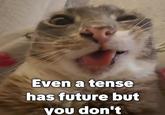 Even a tense has future but you don't