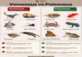 WILDLIFE Nomads Venomous vs Poisonous Venomous It injects the toxin into you Poisonous You absorb the toxin from it Scorpions Cone Snail Pufferfish Nudibranch Cobras Black Widow Reef Crab Poison Dart Frogs Stingrays Platypus Monarch Butterfly Cane Toad DEFINITION Toxin actively injected into a target Via fangs, stingers, spines or spurs DEFINITION Toxin passively transferred to another organism When eaten, touched, inhaled or swallowed DELIVERY Direct into bloodstream or tissue Used to hunt prey or deter predators DELIVERY Absorbed through skin, gut or membranes No action needed from the toxic organism APPARATUS Requires a specialised delivery organ Hollow fangs, barbed stinger, venomous spur PURPOSE Passive defence - no delivery organ needed Toxins stored in skin, organs or tissues Find more at www.wildlifenomads.com