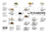 Polysaccharides are starches, cellulose, glycogen, etc.; consisting of long chains of saccharides. The example depicted is corn starch, formed by long chains of glucose. it SUGARCANE Juicing Evaporation & Crystallization Saccharification by ẞ-amylase Raw sugar is generally coarser and less moist than brown sugar. The overall flavor of molasses originates from the effect benergistic its sugar content along with different volatile aroma compounds (VACs) such as organic acids, aliphatic ketones, aliphatic esters, furans, etc. Disaccharides are sucrose, maltose, lactose, etc.; consisting of two saccharides chemically bonded together. Table sugar is basically crystalline sucrose. The sweetness of sucrose is set to be 1.0 or 100%, while the sweetness of other substances are rated relative to sucrose. -97% RAW SUGAR Refining, Evaporation & Re-crystallization 1.0x SUGAR - Blending - [separated out] MOLASSES CORN Milling Gelatinisation & Liquefaction by a-amylase -50-70% -0.5× MALTOSE SYRUP -30-60% 4444 WHEY Filtration Cooling & Crystallization -0.3x LACTOSE He is sweet but he is complicated Chemically bonded Mixed + Minerals and/or ash Other compounds Glucose Fructose Galactose ≥90% Heating (≥160°C) Hydrolysis by invertase BROWN SUGAR Saccharification by glucoamylase Monosaccharides are glucose, fructose, galactose, etc. They are the building blocks of starches, the monomers of polysaccharides. MELTED SUGAR Further heating -1.0x INVERT SUGAR SYRUP -50% -50% Early termination of saccharification -20% ~14% -0.7x CORN SYRUP (95 DE) Isomerization by glucose isomerase ≥93% <58% -42% -0.9x Hydrolysis by ẞ-galactosidase GLUCOSE- GALACTOSE SYRUP Made by Leo the Alien on 2026. Scan for the sauce! CARAMEL Caramel composed of several thousand compounds formed by dehydration, fragmentation, and polymerization of sugar; including but not limited to furans, furanones, maltol, and hydroxymaltol. The exact temperature depends on various factors such as sugar purity. HFCS-90 is used to produce HFCS-55 by blending it with HFCS-42. HFCS-55 is sweeter and therefore is used extensively in beverages. HFCS-42 is milder and does not mask the natural flavors of food. Therefore, it is used extensively in canned fruits, sauces, soups, condiments, baked goods, etc. It is also used in dairy products and frozen desserts. -0.5 CORN SYRUP (42 DE) -1.2x HIGH-FRUCTOSE CORN SYRUP (HFCS-90) <10% ~90% HIGH-FRUCTOSE CORN SYRUP (HFCS-42) Chromatography Crystallization -1.7x FRUCTOSE Glucose-galactose syrup isn't widely used because it has varying composition with a significant amount of lactose and an unequal amount of glucose vs galactose. Moreover, lactose and galactose have low sweetness.