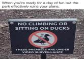 When you're ready for a day of fun but the park effectively ruins your plans. NO CLIMBING OR SITTING ON DUCKS THESE PREMISES ARE UNDER VIDEO SURVEILLANCE