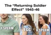 The "Returning Soldier Effect" 1945-46 Y SPERM EGG X SPERM made with mematic