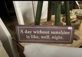 09-2026 A day without sunshine is like, well, night. 250