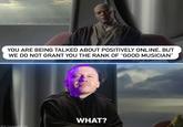 YOU ARE BEING TALKED ABOUT POSITIVELY ONLINE, BUT WE DO NOT GRANT YOU THE RANK OF "GOOD MUSICIAN" WHAT? Ⓒ & TH Luca Smtid