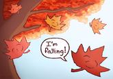 GHE_Q5 I'm falling!