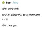 ovobearie Follow kittens conversation: hey we are all really small do you want to sleep in a pile other kittens: yeah