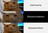 January Dissociation September