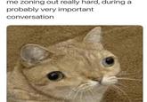 me zoning out really hard, during a probably very important conversation