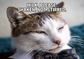 MILK, PLEASE. SHAKEN, NOT STIRRED.
