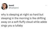 Jennii @hashjenni why is sleeping at night so hard but sleeping in the morning is like drifting away on a soft fluffy cloud while adele sings you a lullaby