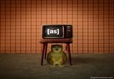 [as] dogemuchwow.com