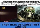 Necrons after seeing the Adeptus Mechanicus seething and yelling at them for being heretical against the Omnissiah © THEY HATE US CAUSE THEY AINT US 2024