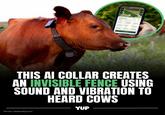 Paddock E4 Metrics Orang Cover ✓709 Pesture 24 10091 503 + Add break THIS AI COLLAR CREATES AN INVISIBLE FENCE USING SOUND AND VIBRATION TO HEARD COWS YUP Photo: HalterHQ.com