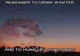 REMEMBER TO DRIMK WAMTER AND TO HUMG UR LOVMD ONMS