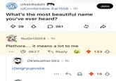 r/AskReddit u/Comfortable-Ear1558 • 1h What's the most beautiful name you've ever heard? ↑ 28 B ☐ 361 NuGirl2024 • 1h Plethora.... it means a lot to me +3627 ← Reply OkWeather303 • 1h . r/angryupvote Join R 65 133 16