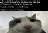 >Gets told that the Horus Heresy is the big tragic event that caused the decline of humanity into grim darkness. >Looks inside Horus Rising. >Servitors everywhere.