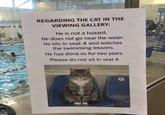 REGARDING THE CAT IN THE VIEWING GALLERY: He is not a hazard. He does not go near the water. He sits in seat 4 and watches the swimming lessons. He has done so for two years. Please do not sit in seat 4.