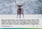 Sea turtles have survived for more than 100 million years and can navigate thousands of miles of open ocean using Earth's magnetic ... SD Space Daily ⚫ 2d