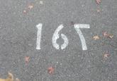 16T