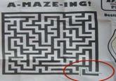 A-MAZE-ING! PE Desi