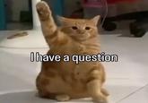 I have a question