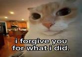i forgive you for what i did.
