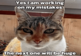 Yes I am working on my mistakes The next one will be huge