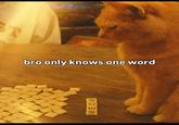 T bro only knows one word MEOW