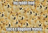 my reddit feed imgflip.com since r/dogelore revival