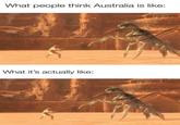 What people think Australia is like: What it's actually like: